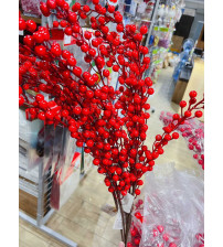 三叉红果 圣诞红球插枝（含税 bruto）