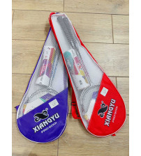 5001带五个塑球 羽毛球拍（含税 bruto）