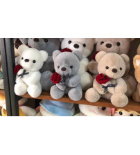 玫瑰泰迪熊50 cm（不含税 neto）