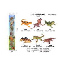 6款冷血爬虫晰蜴