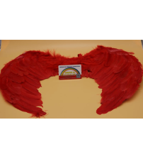 45x35羽毛翅膀2569-1