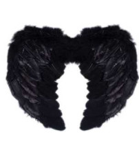 55*40黑色羽毛翅膀（含税 bruto）