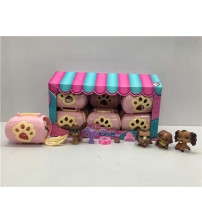 宠物套装配食物12pcs/盒