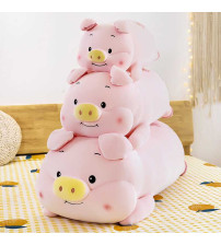 金猪 60 cm（不含税 neto）