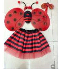 甲虫三件套加裙(大红条纹裙)(bruto 含税）