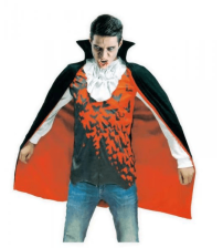 WAMPIR FAJNY NIETOPERZ